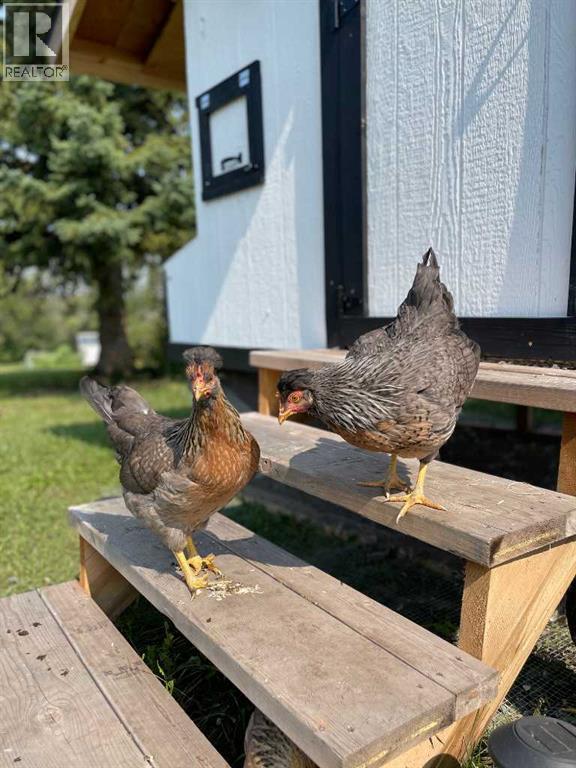 44241 Rr215, Rural Camrose County, Alberta  T0B 1M0 - Photo 46 - A2289762