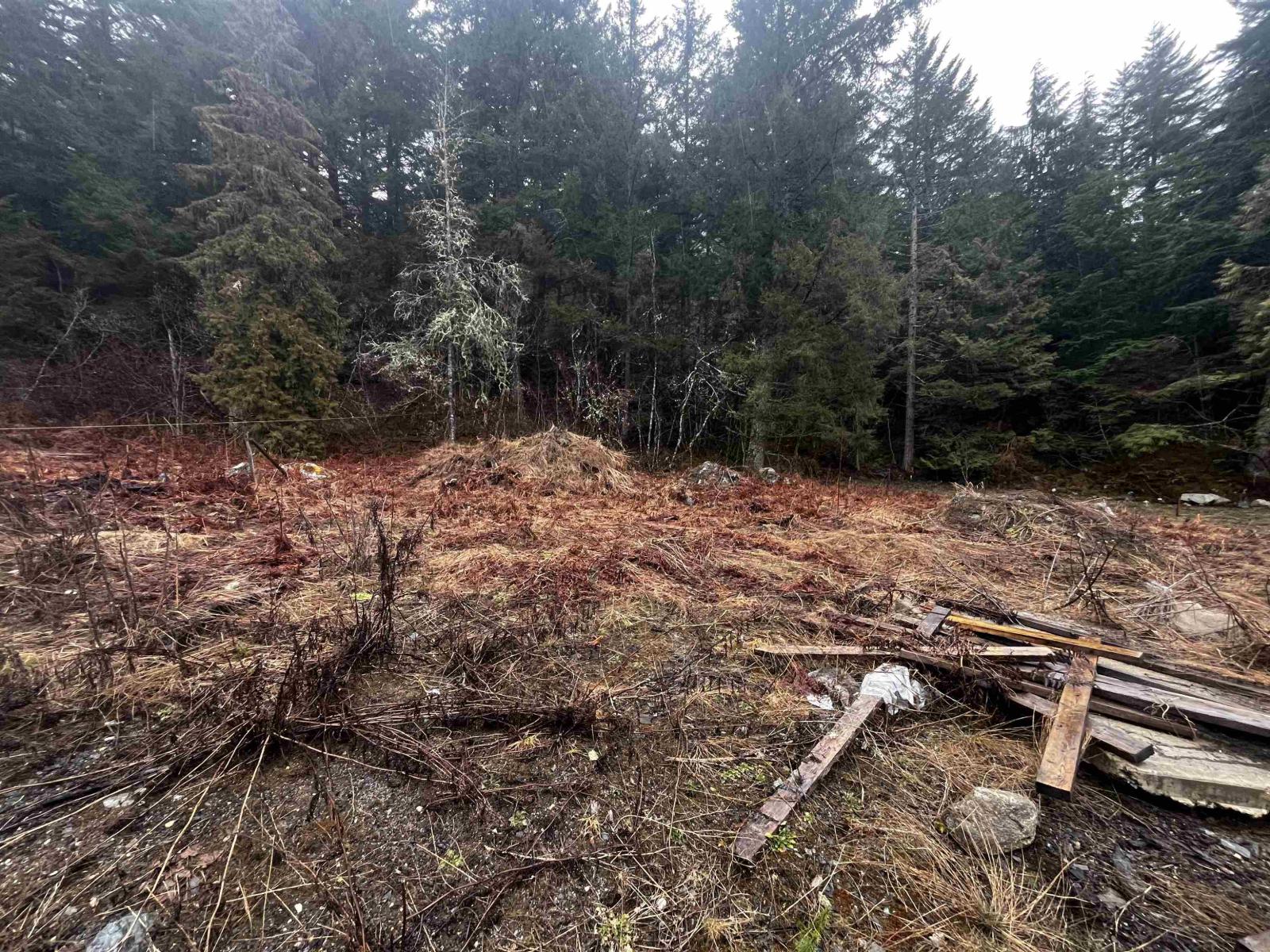 Lmv 7 Old Hope Princeton Highway, Sunshine Valley, Sunshine Valley, British Columbia  V0X 1L5 - Photo 2 - R3097529