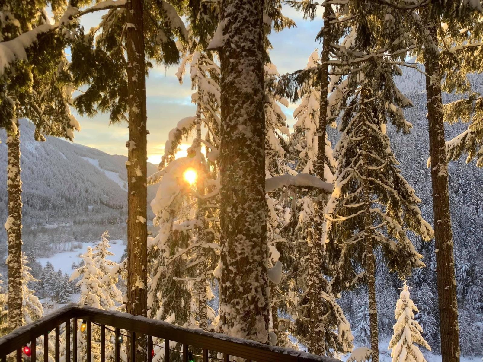 Lmv 7 Old Hope Princeton Highway, Sunshine Valley, Sunshine Valley, British Columbia  V0X 1L5 - Photo 30 - R3097529