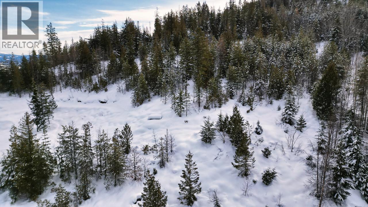 305 Richie Road, Rossland, British Columbia  V0G 1Y0 - Photo 10 - 10378316