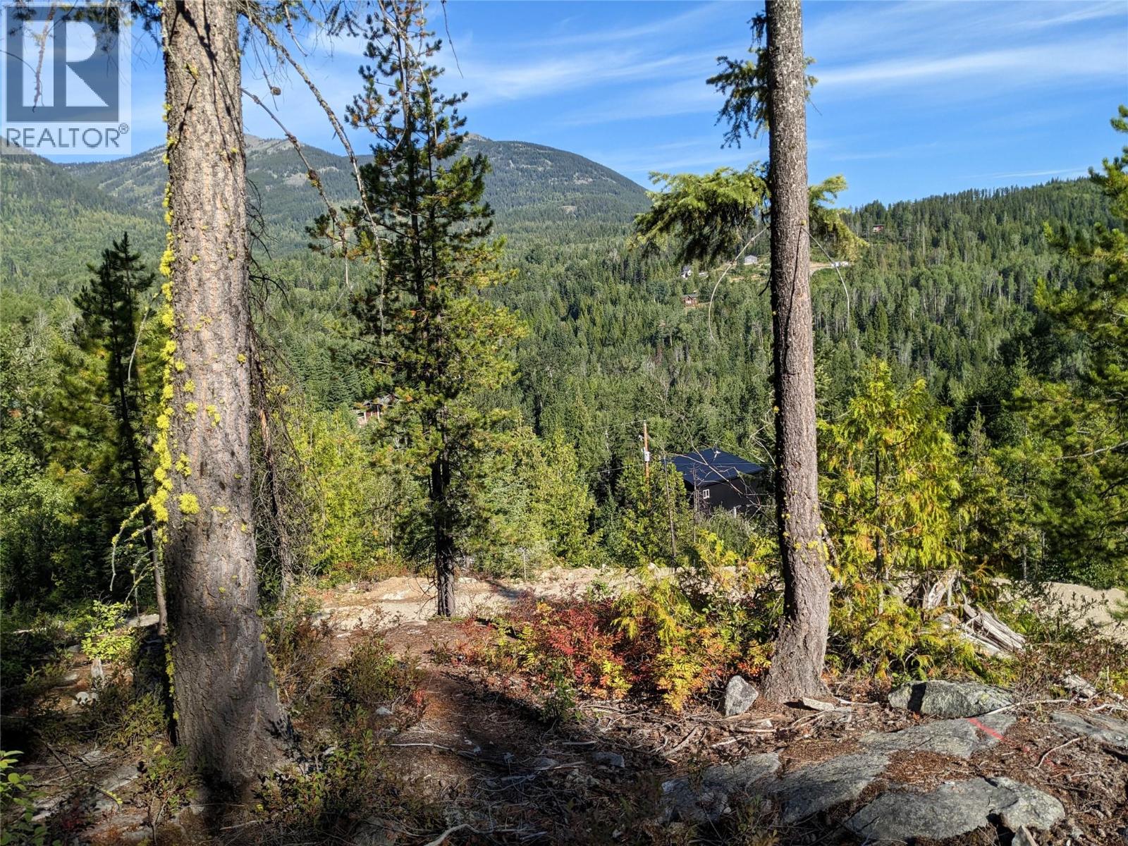 305 Richie Road, Rossland, British Columbia  V0G 1Y0 - Photo 3 - 10378316