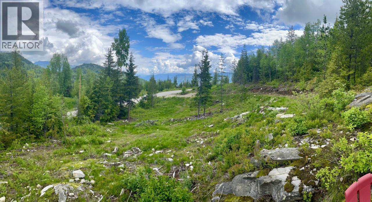 305 Richie Road, Rossland, British Columbia  V0G 1Y0 - Photo 39 - 10378316