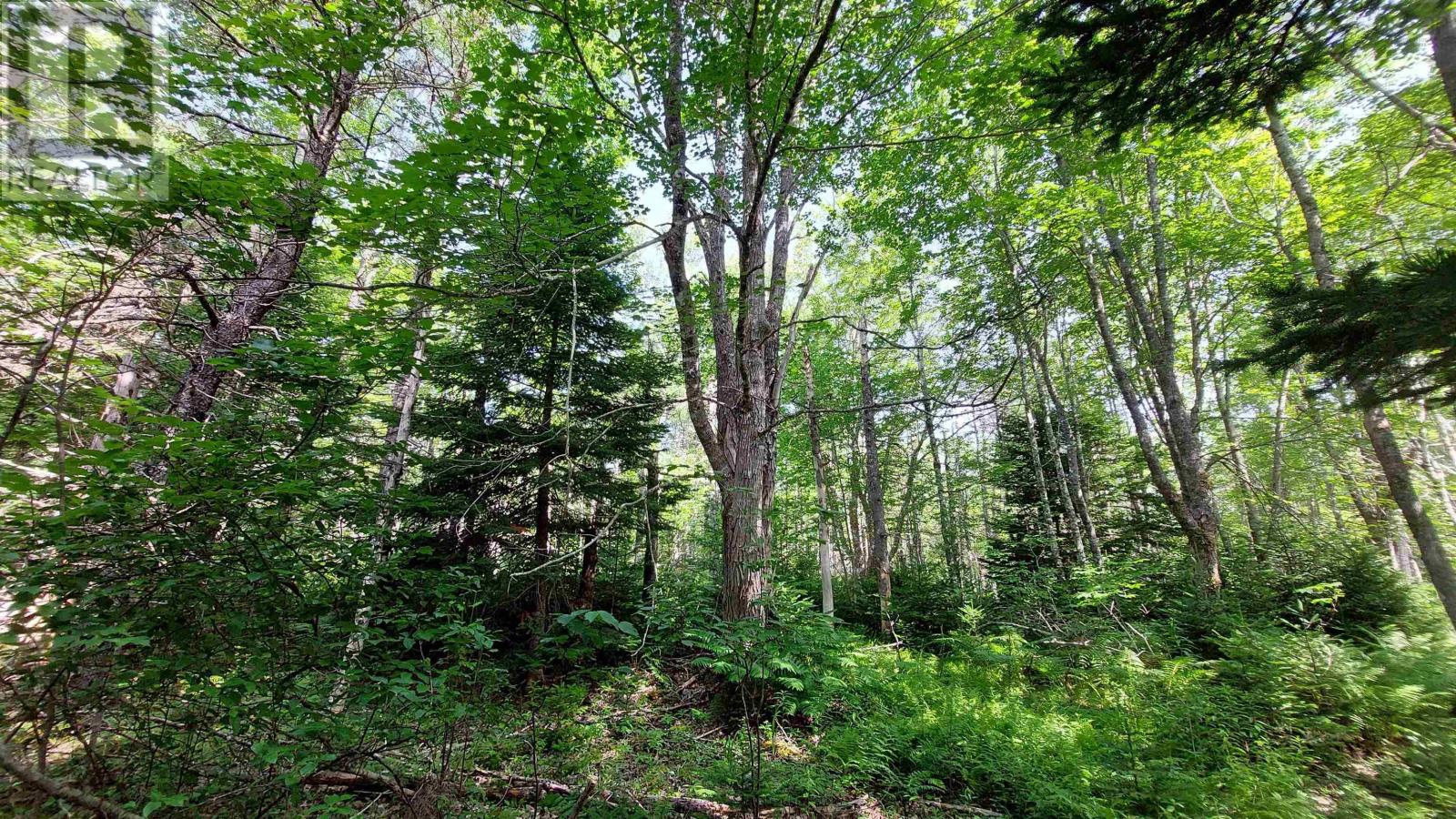 Lot 5 Tranquil Shore Rd, Marshes (West Bay), Nova Scotia  B0E 1V0 - Photo 11 - 202604250