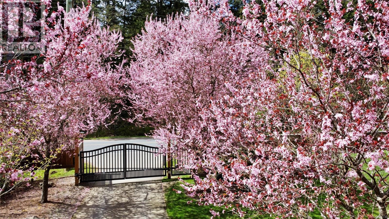 6583 Wallace Dr, Central Saanich, British Columbia  V8M 1J8 - Photo 44 - 1027730