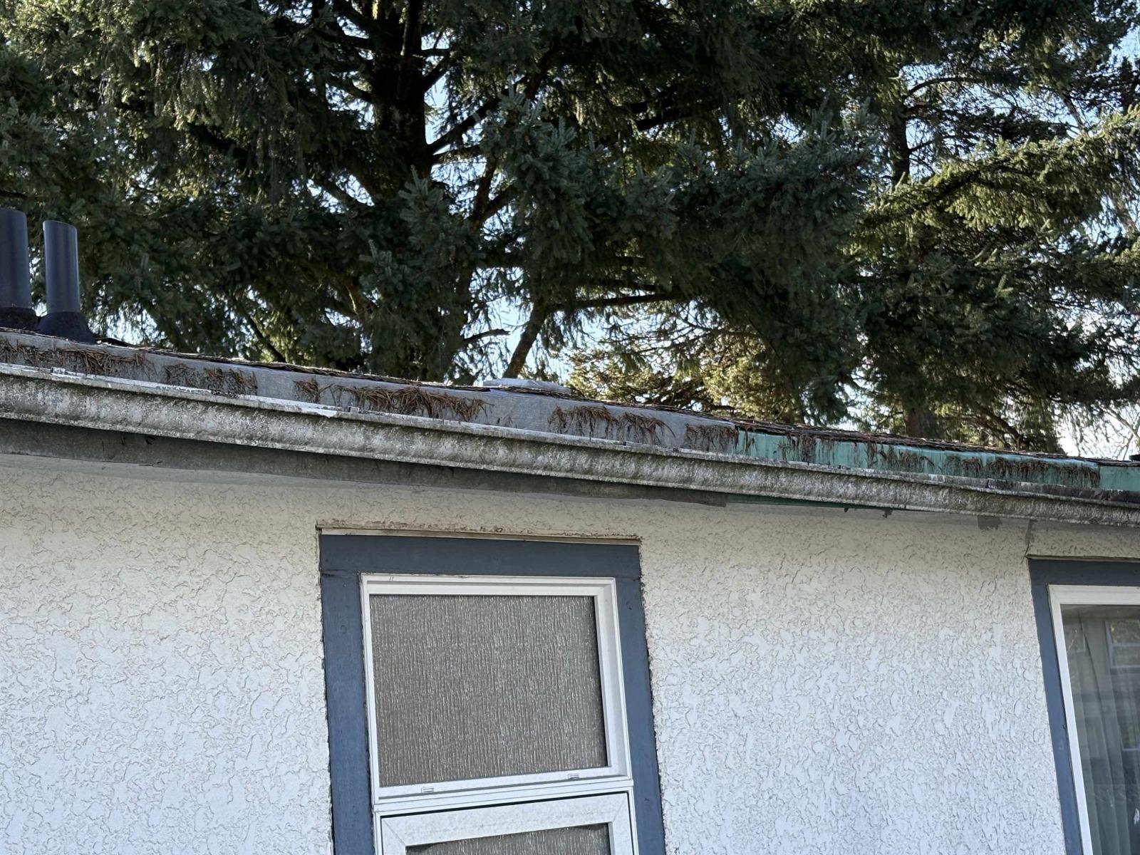 14845 103 Avenue, Surrey, British Columbia  V3R 1L4 - Photo 17 - R3098109