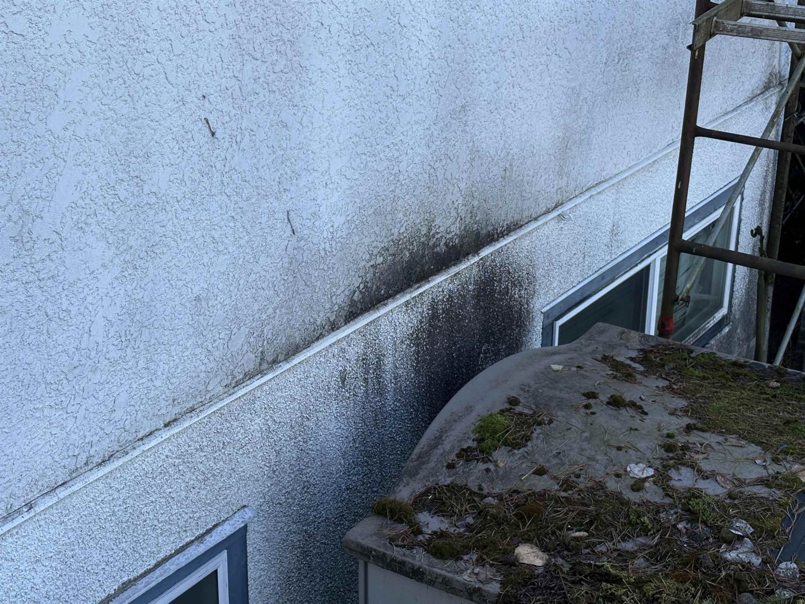 14845 103 Avenue, Surrey, British Columbia  V3R 1L4 - Photo 18 - R3098109