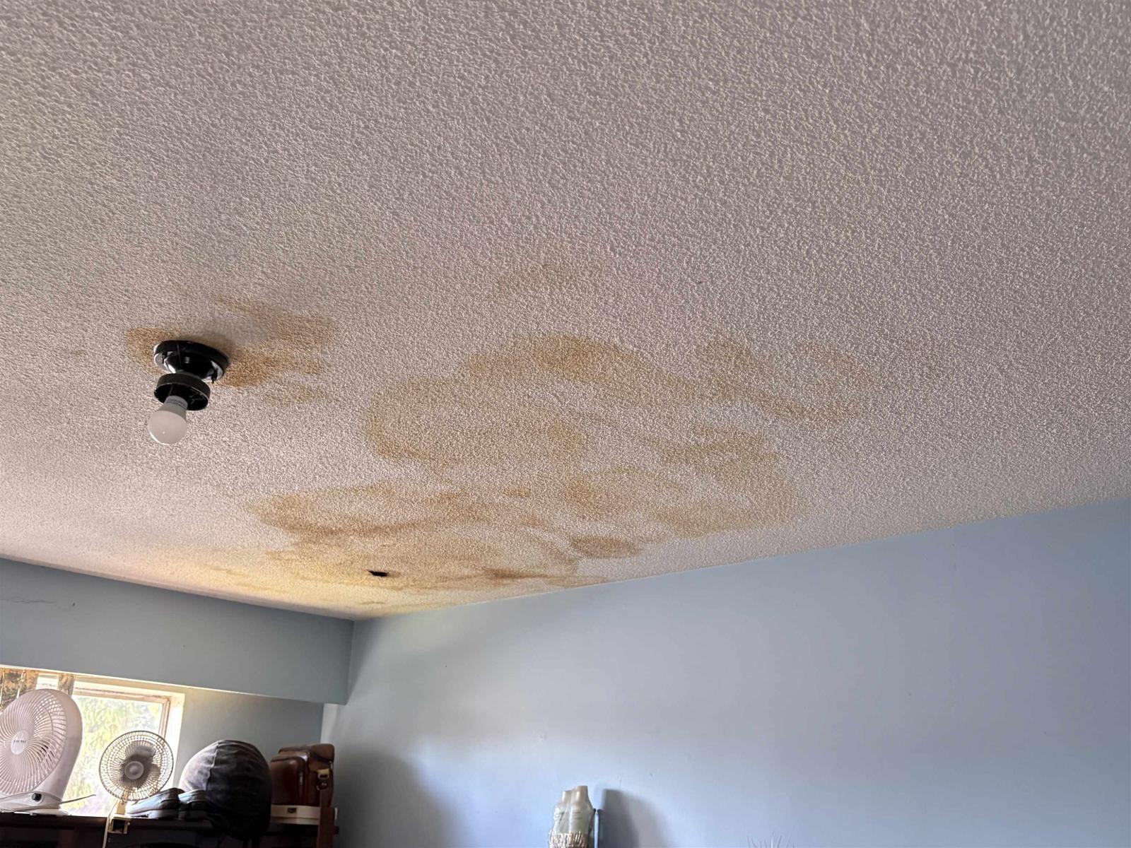 14845 103 Avenue, Surrey, British Columbia  V3R 1L4 - Photo 27 - R3098109