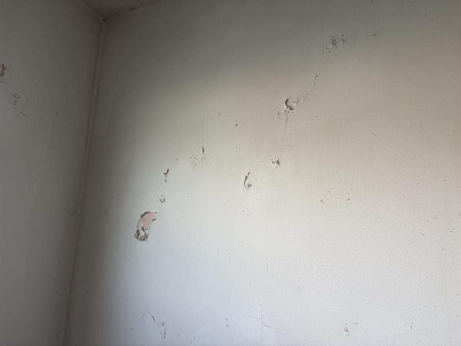 14845 103 Avenue, Surrey, British Columbia  V3R 1L4 - Photo 28 - R3098109