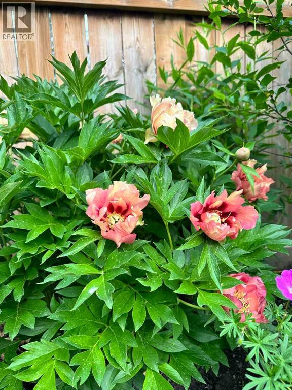 83 Fireside Crescent N, Cochrane, Alberta  T4C 2L5 - Photo 41 - A2288542