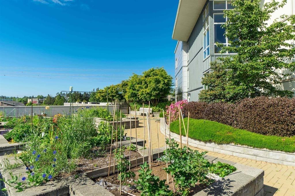 203 15850 26 Avenue, Surrey, British Columbia  V3Z 2N6 - Photo 31 - R3096475