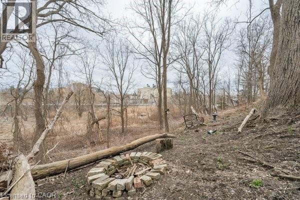 163 Fountain Street N, Cambridge, Ontario  N3H 1H7 - Photo 4 - 40810728