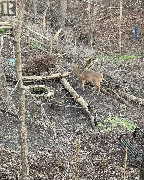 163 Fountain Street N, Cambridge, Ontario  N3H 1H7 - Photo 6 - 40810728