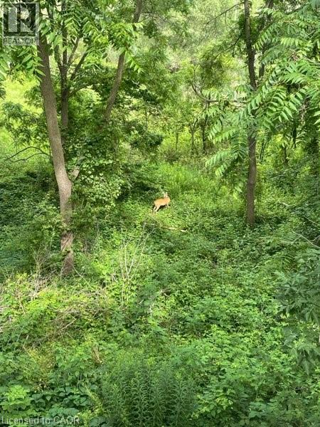 163 Fountain Street N, Cambridge, Ontario  N3H 1H7 - Photo 7 - 40810728