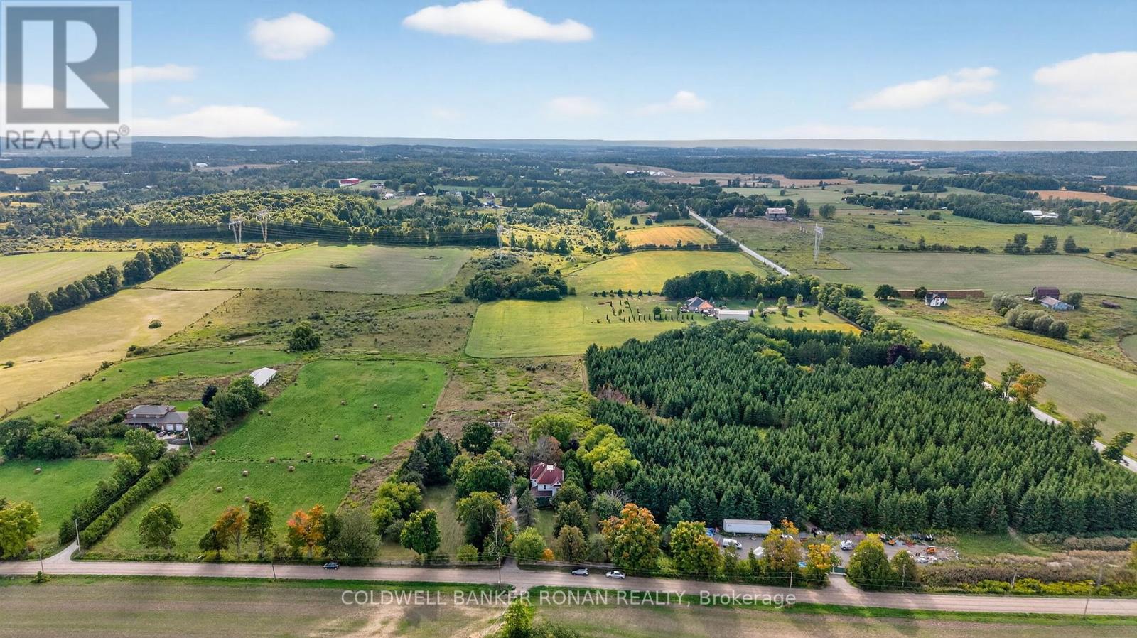 1516 17th Side Road, New Tecumseth, Ontario  L0G 1T0 - Photo 37 - N12840336