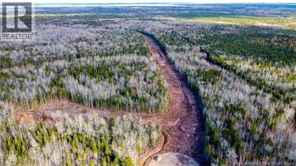 22-93 Hameln Court, Irishtown, New Brunswick  E1A 0H3 - Photo 4 - NB105759