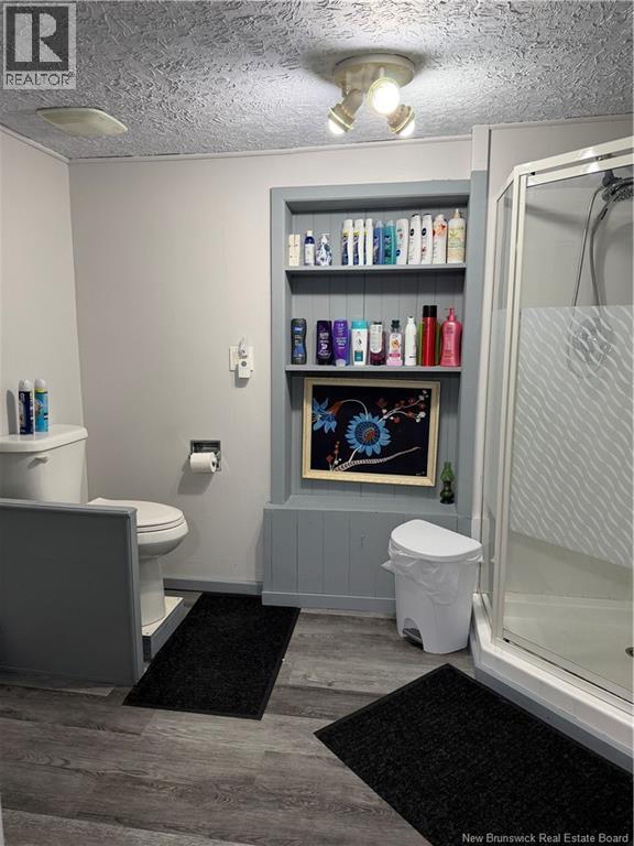 5979 Route 120, Lac Baker, New Brunswick  E7A 1M9 - Photo 23 - NB134817