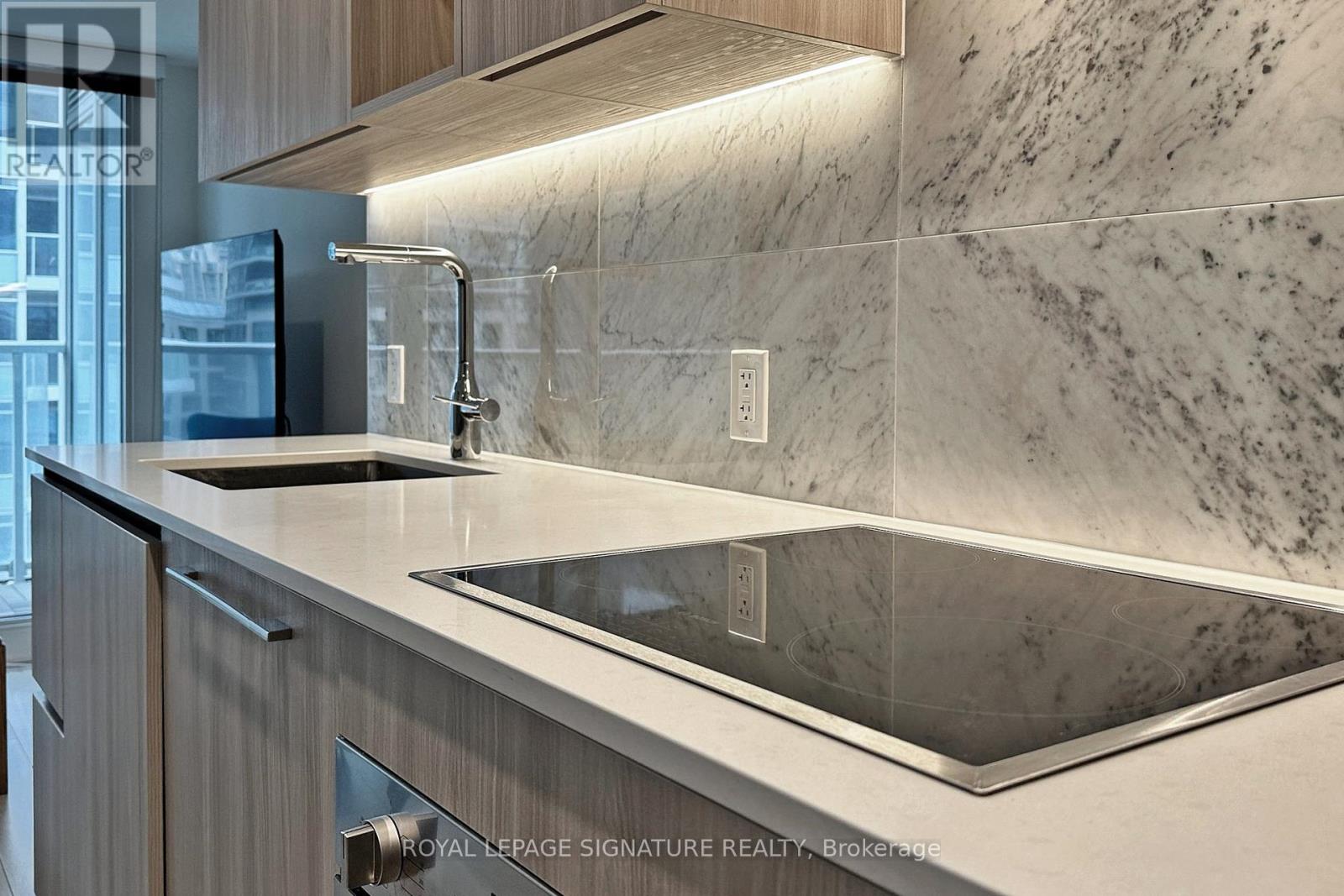 805 - 17 Bathurst Street, Toronto, Ontario  M5V 0N1 - Photo 13 - C12867126