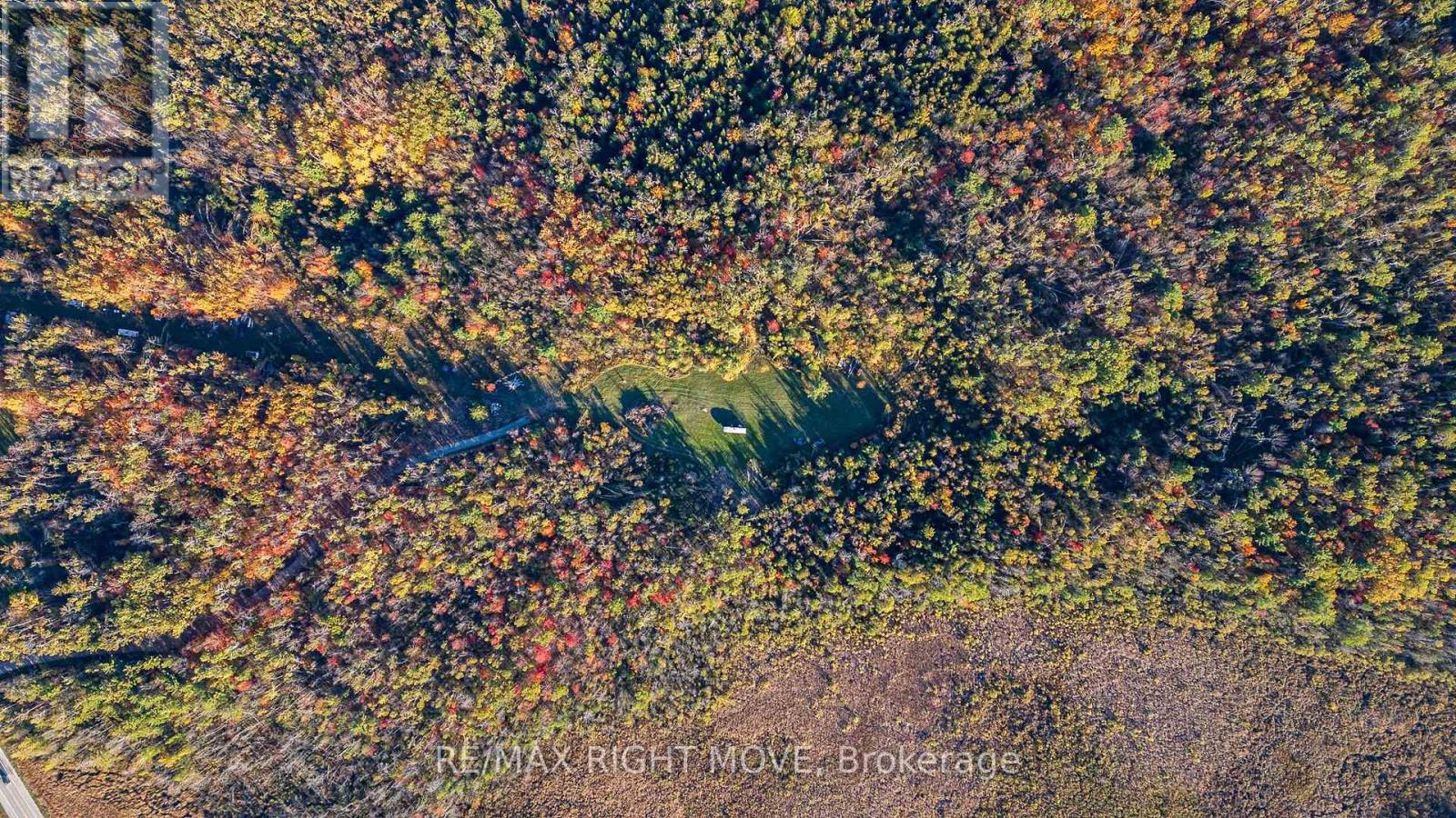 2085 Monck Road, Ramara, Ontario  L3V 0P6 - Photo 10 - S12867364