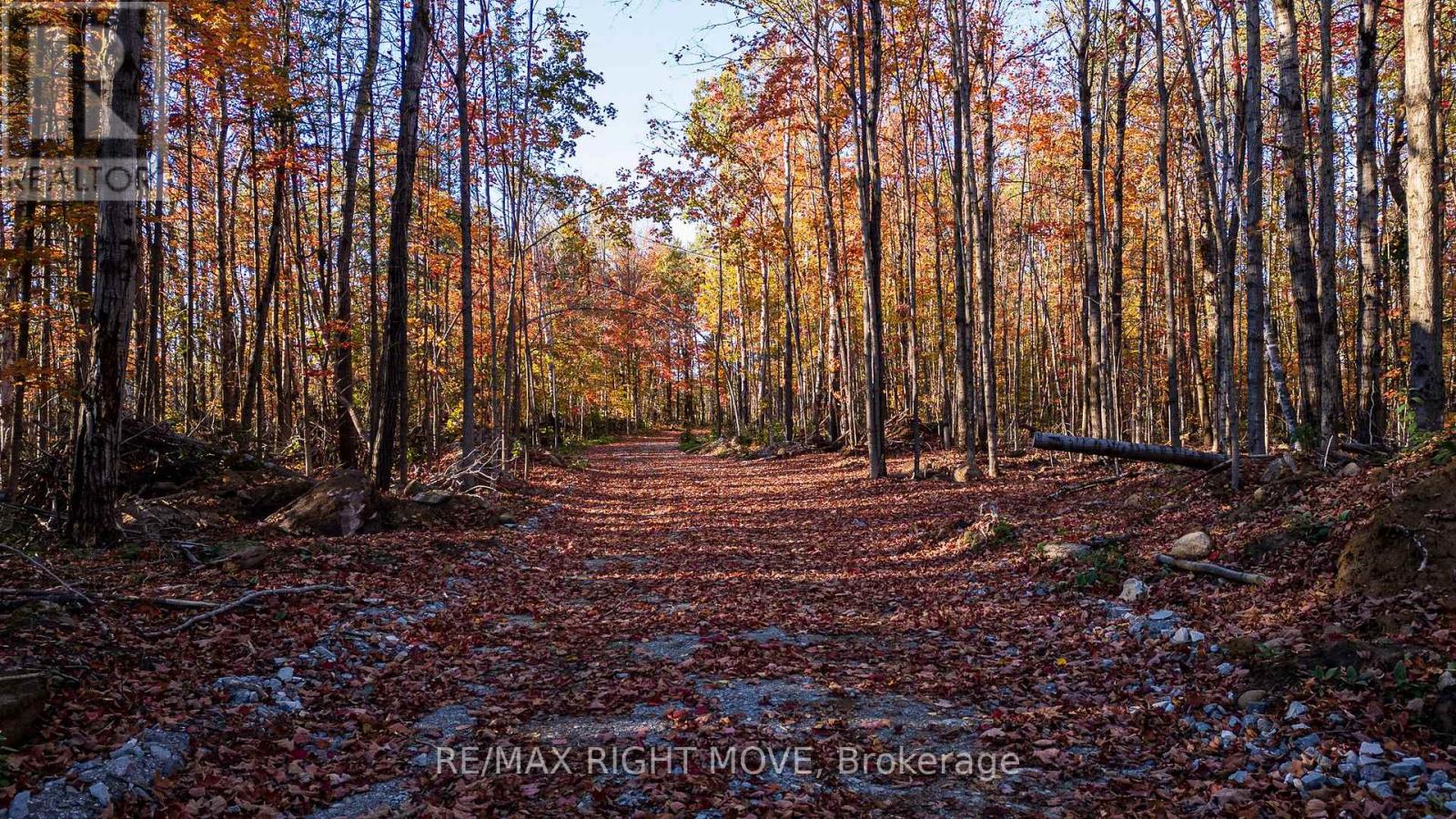 2085 Monck Road, Ramara, Ontario  L3V 0P6 - Photo 4 - S12867364