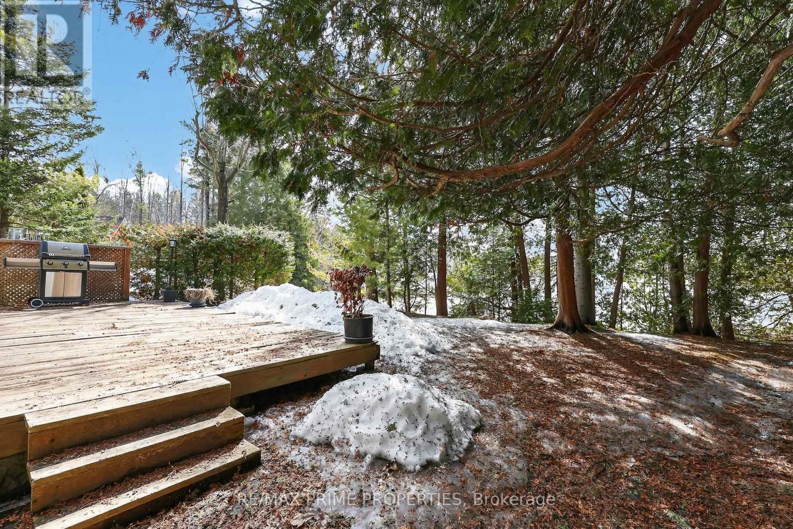 21 Stanley Road, Kawartha Lakes, Ontario  K0M 2T0 - Photo 16 - X12867128