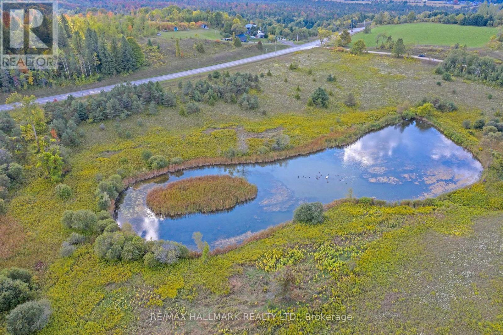 5285 Trafalgar Road, Erin, Ontario  N0B 1T0 - Photo 10 - X12867338