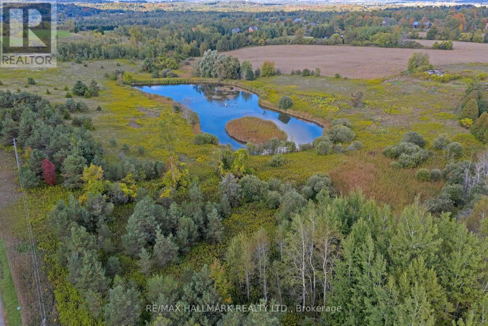 5285 Trafalgar Road, Erin, Ontario  N0B 1T0 - Photo 13 - X12867338