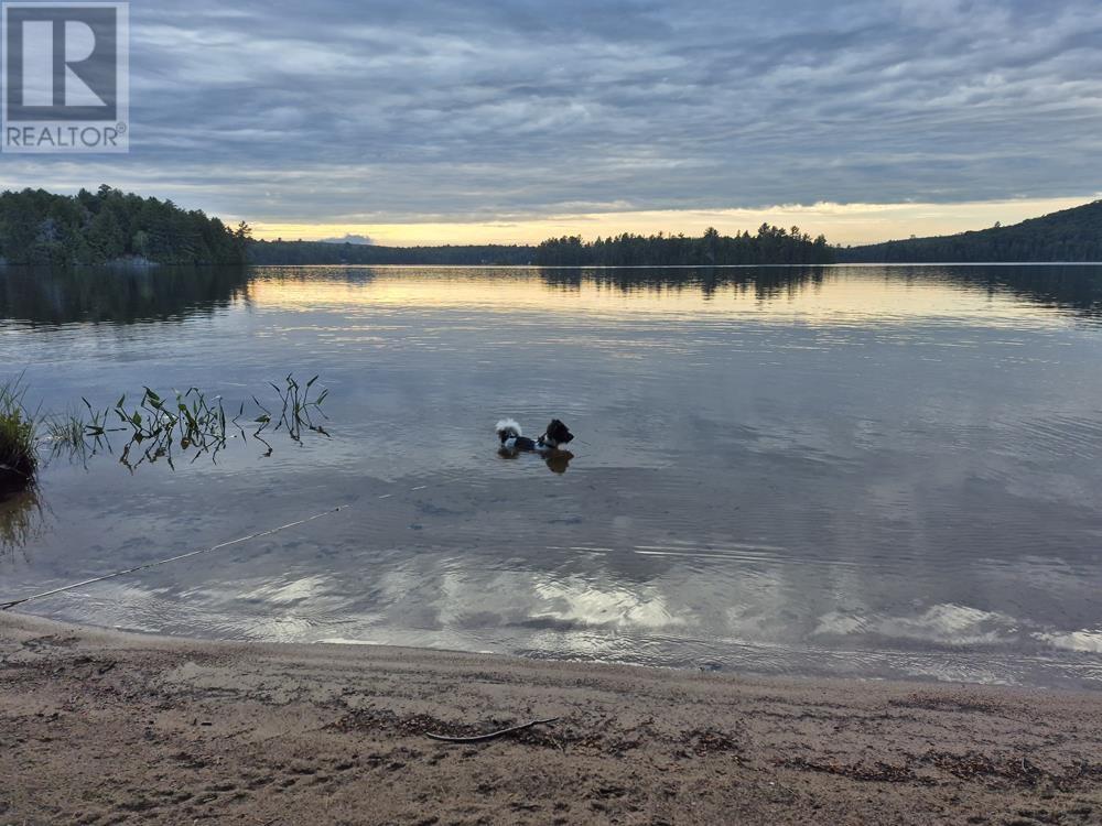 8572 Highway 129, Thessalon, Ontario P0R 1L0 - Photo 24 - SM260400