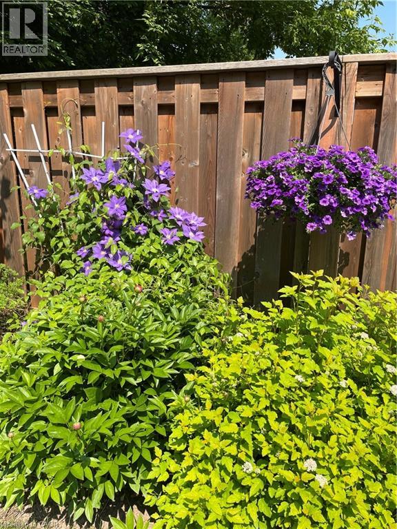 33 Joseph Street, Guelph, Ontario  N1E 2W4 - Photo 44 - 40810976