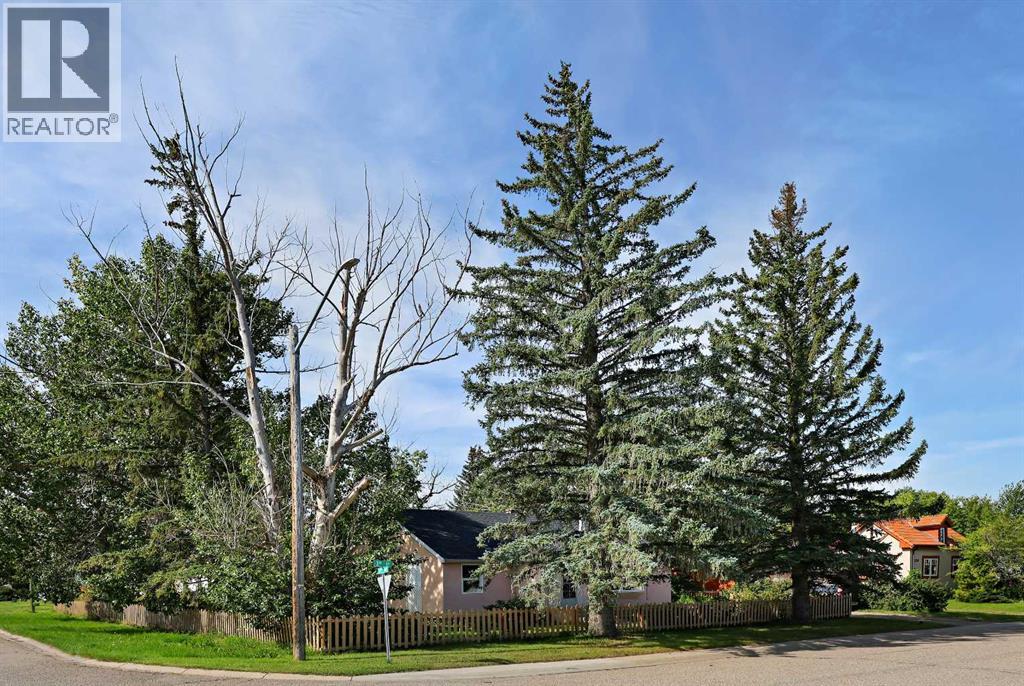 339 3 Street, Irricana, Alberta  T0M 1B0 - Photo 3 - A2287598