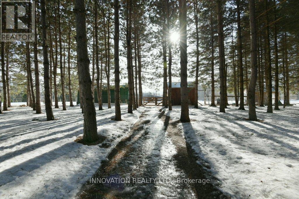 207 Ferguson Falls Road, Lanark Highlands, Ontario  K7C 0C5 - Photo 39 - X12867616