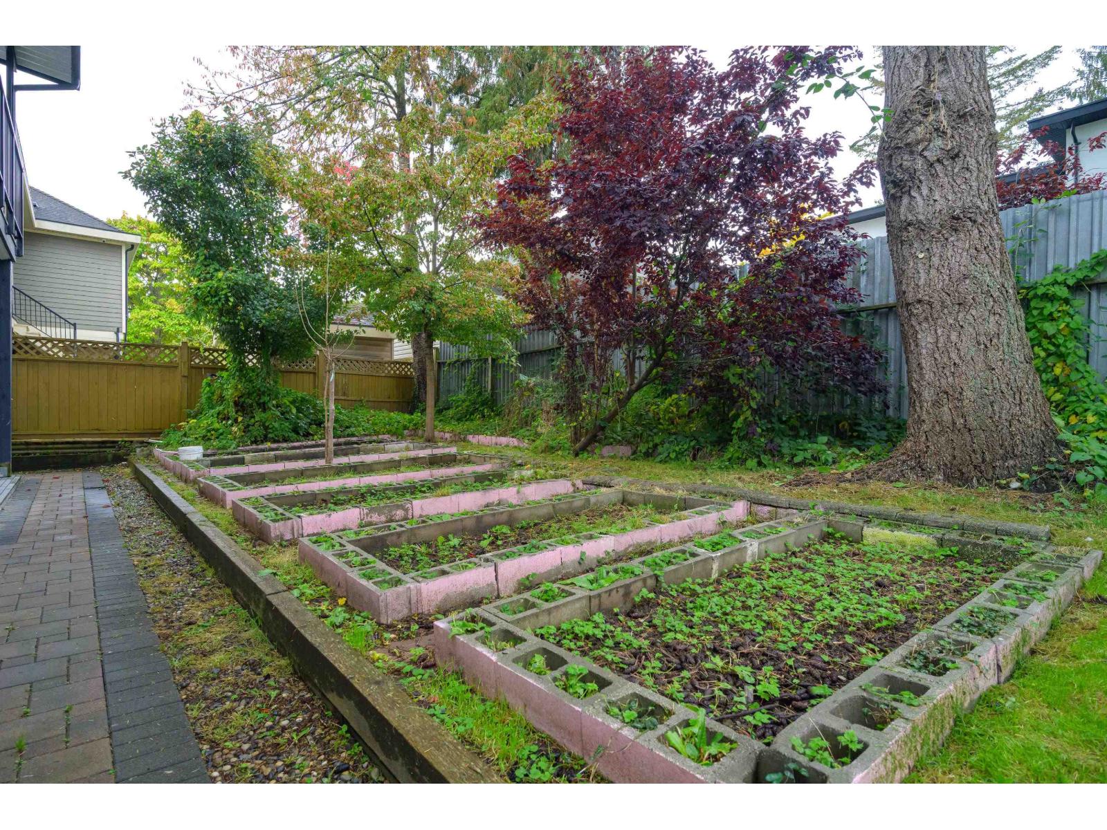 10873 132 Street, Surrey, British Columbia  V3T 3W6 - Photo 37 - R3098209