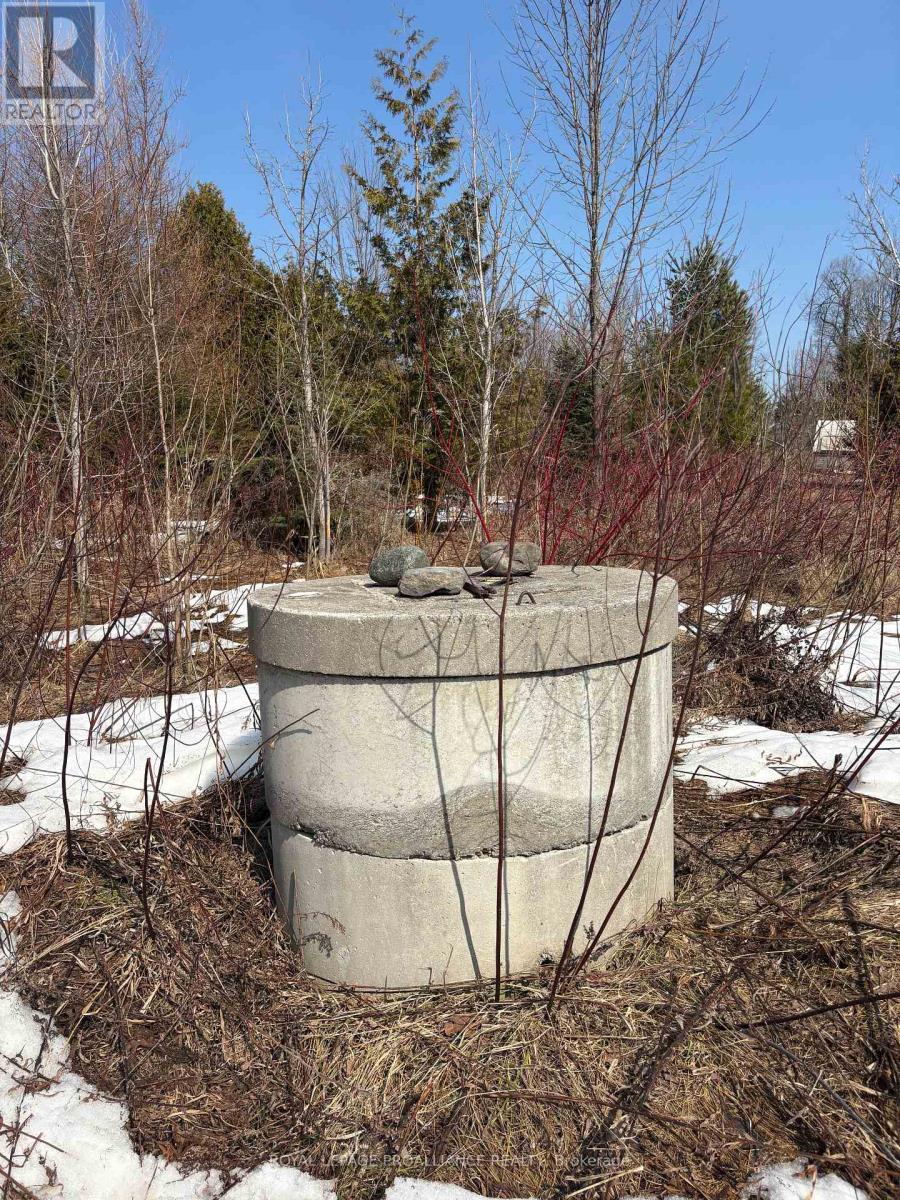 5 Pollock Road, Trent Hills, Ontario  K0K 3K0 - Photo 2 - X12818290