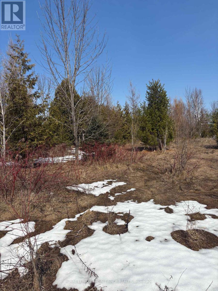 5 Pollock Road, Trent Hills, Ontario  K0K 3K0 - Photo 5 - X12818290