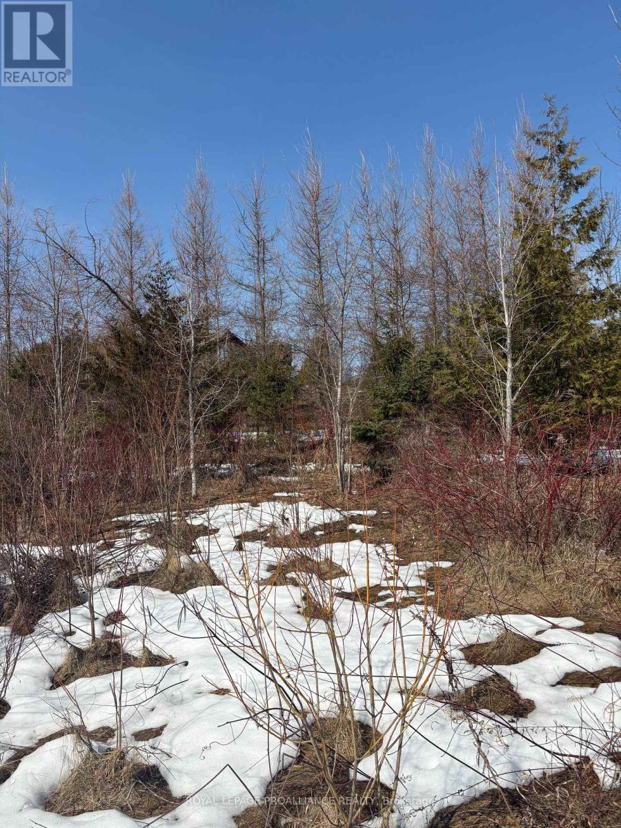 5 Pollock Road, Trent Hills, Ontario  K0K 3K0 - Photo 6 - X12818290