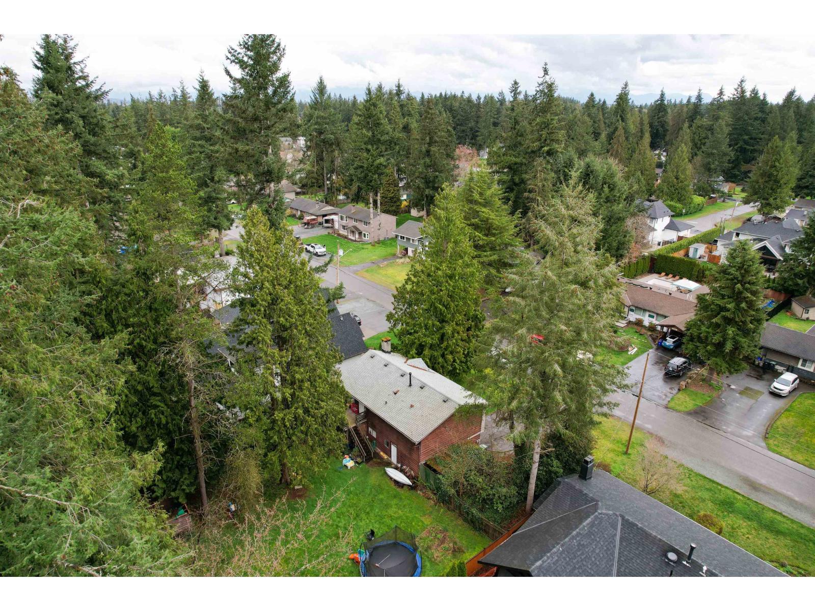 4047 204b Street, Langley, British Columbia  V3V 1A8 - Photo 6 - R3097974