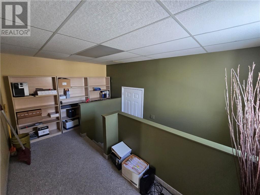 667 St Clair Street, Greater Sudbury, Ontario  P3E 4G9 - Photo 23 - 2126668