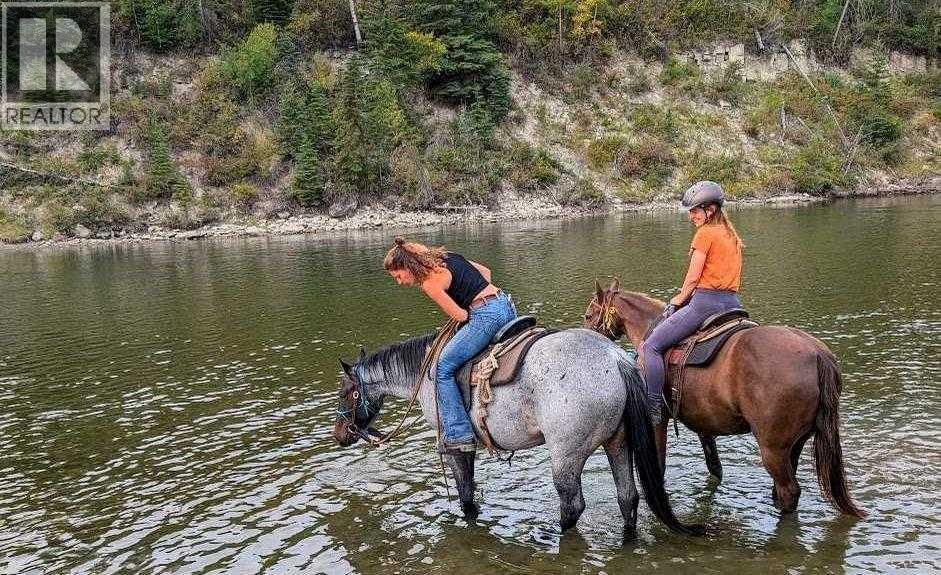411048c Buster Creek, Rural Clearwater County, Alberta  T4T 1A5 - Photo 45 - A2292079