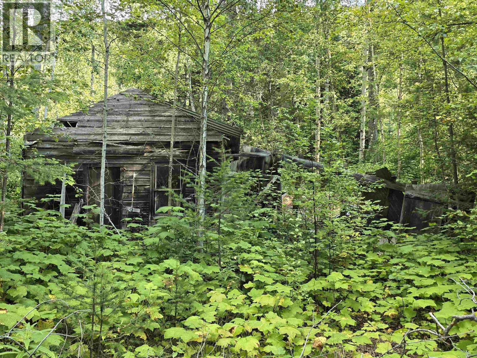 11328 E 16 Highway, Valemount, British Columbia  V0E 2Z0 - Photo 6 - R3098221