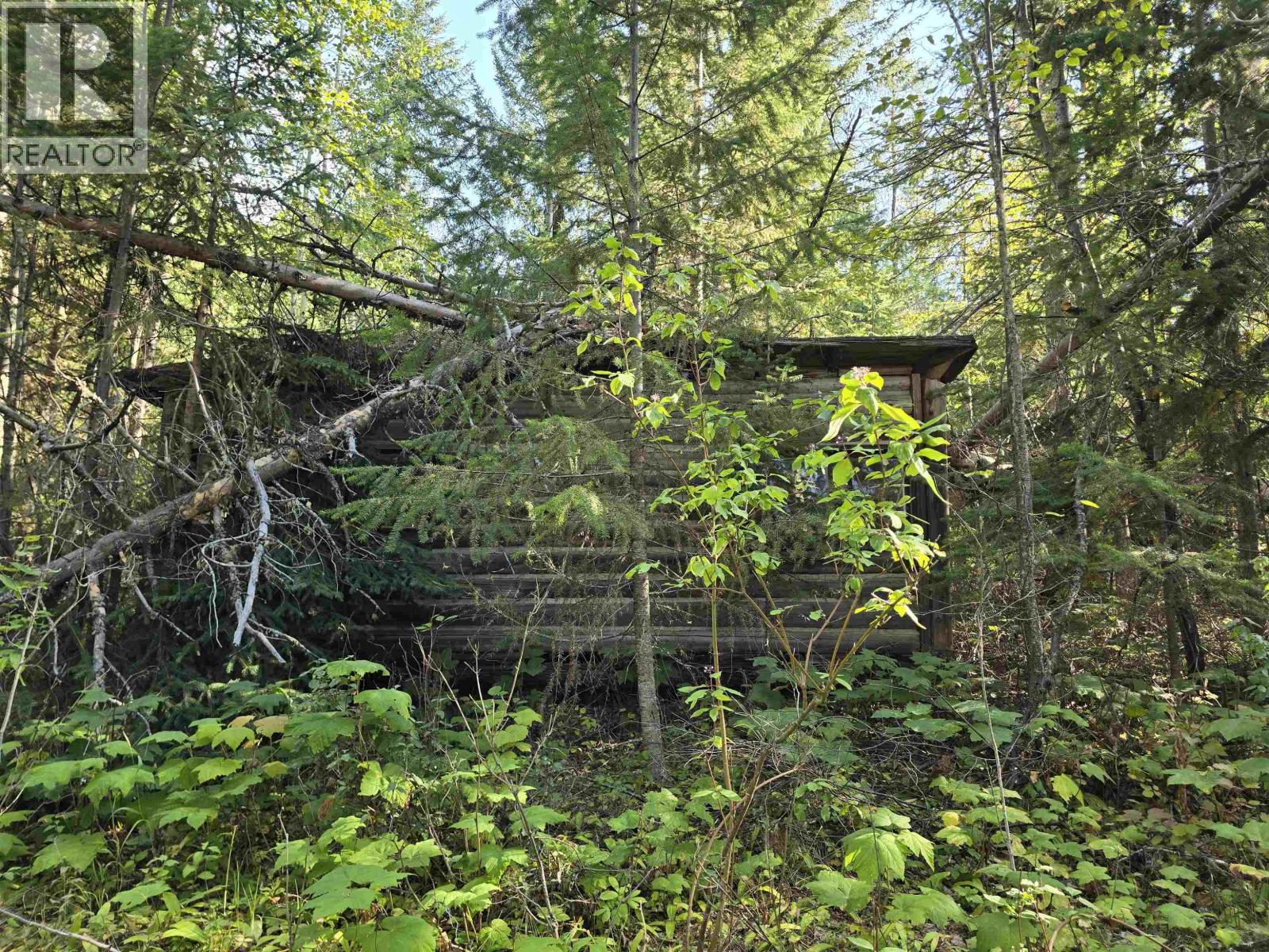 11328 E 16 Highway, Valemount, British Columbia  V0E 2Z0 - Photo 3 - R3098221