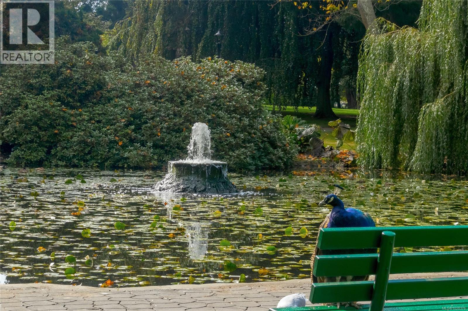 401 924 Cook St, Victoria, British Columbia  V8Z 3Z3 - Photo 29 - 1028376