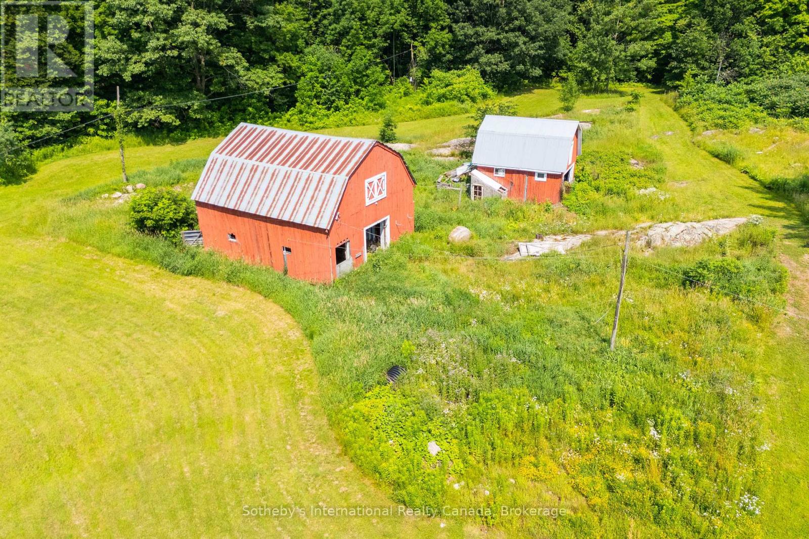 1316 Graham Road, Gravenhurst, Ontario  P0E 1N0 - Photo 23 - X12867990