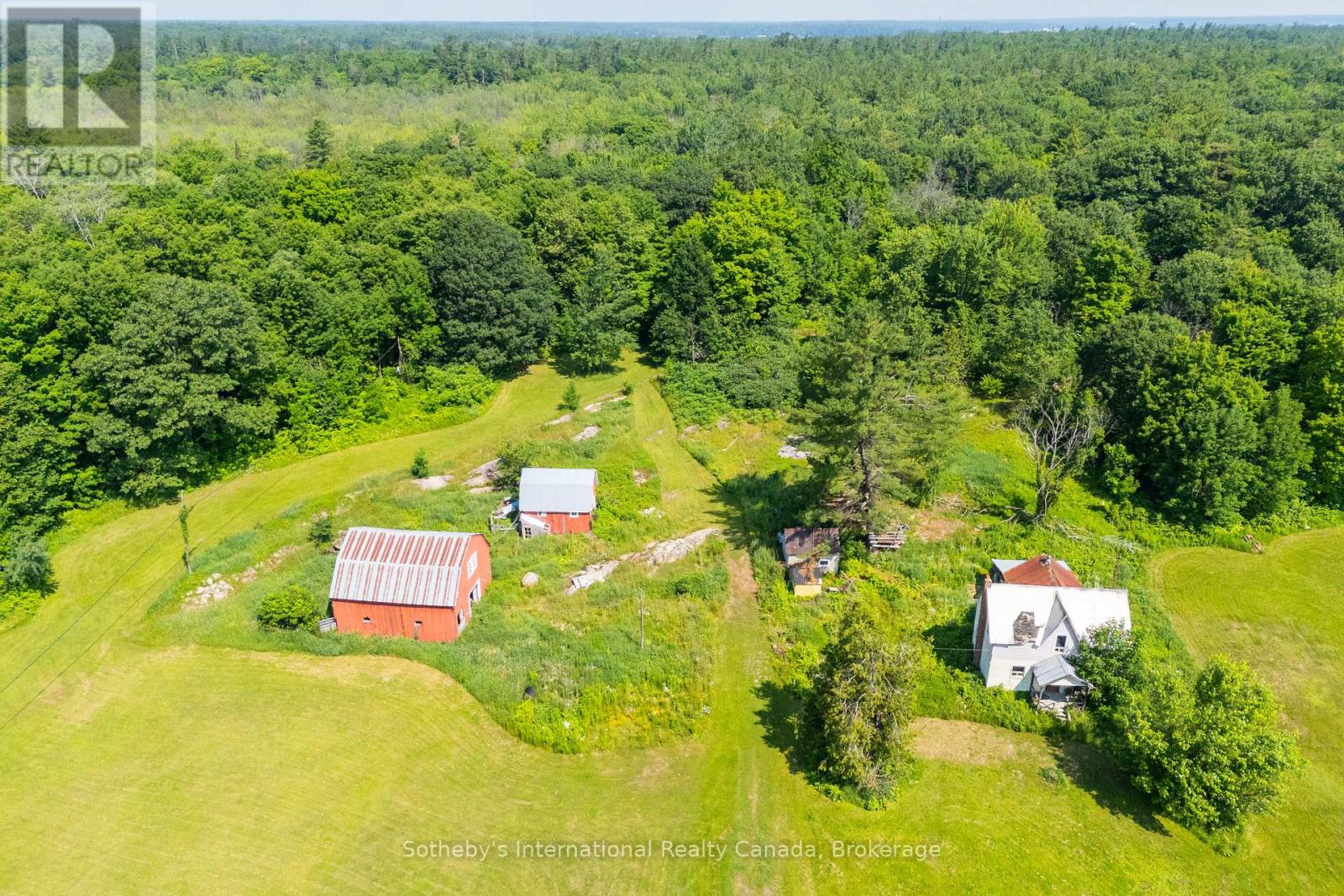 1316 Graham Road, Gravenhurst, Ontario  P0E 1N0 - Photo 4 - X12867990