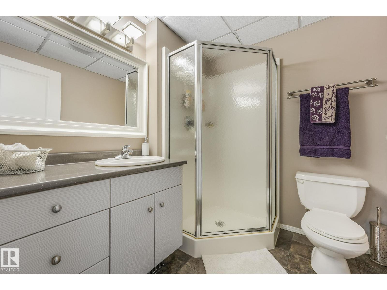 57420 Rge Road 252, Rural Sturgeon County, Alberta  T0G 1L1 - Photo 47 - E4476108