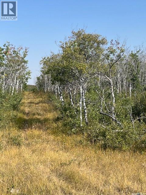 Pasture Rd. Acreage Site, Corman Park Rm No. 344, Saskatchewan  S0K 2L0 - Photo 8 - SK026246