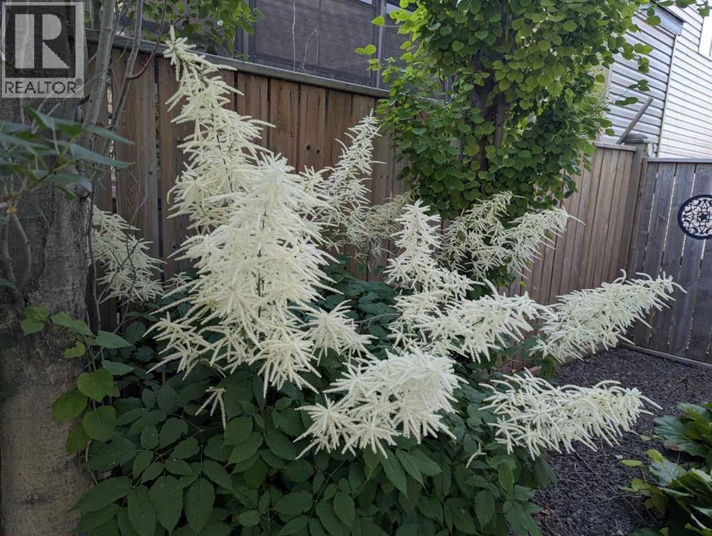 77 Elgin Meadows Manor Se, Calgary, Alberta  T2Z 0S1 - Photo 37 - A2289947