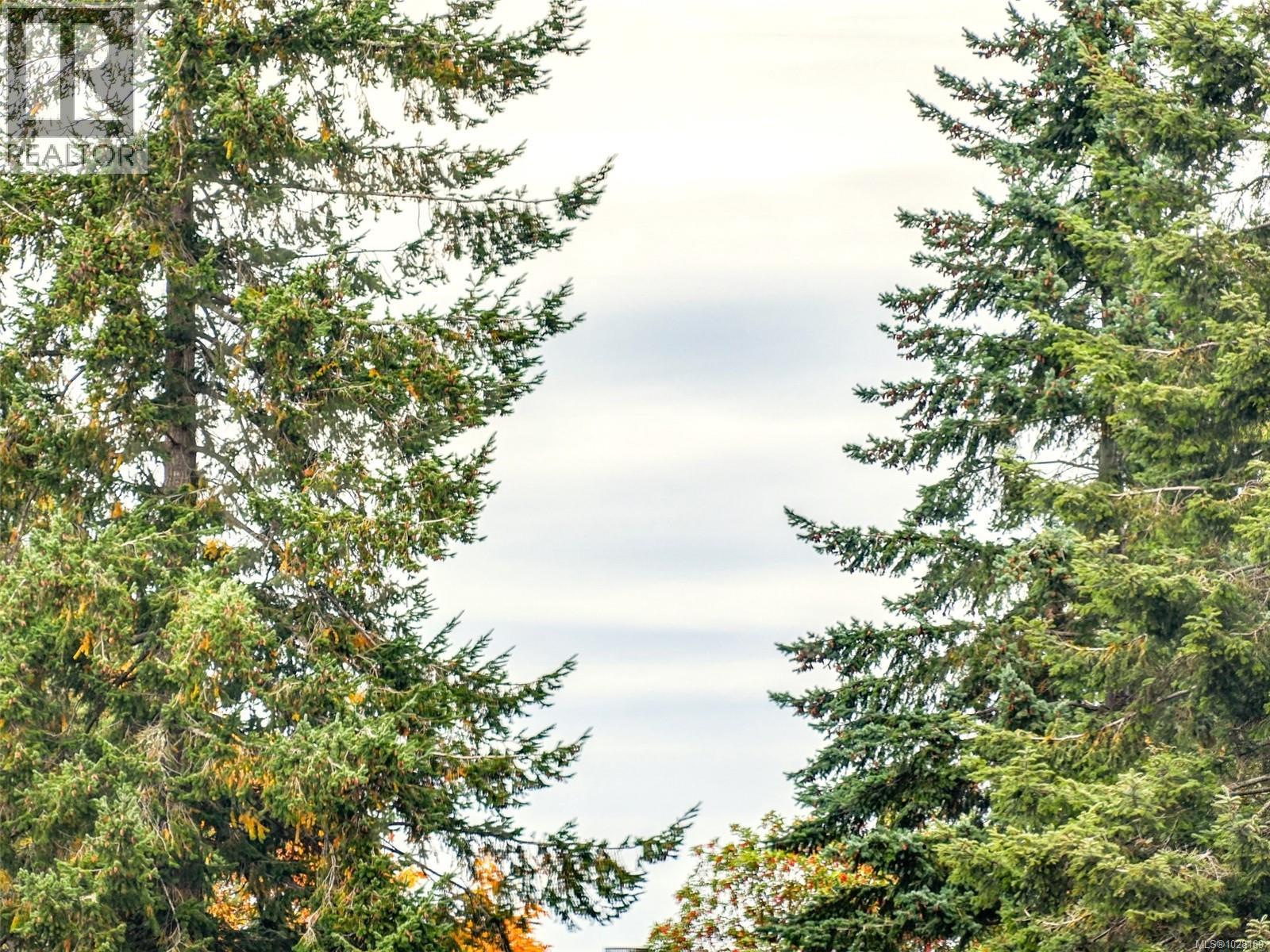 1010 Scottswood Lane, Saanich, British Columbia  V8Y 2Y2 - Photo 22 - 1028169