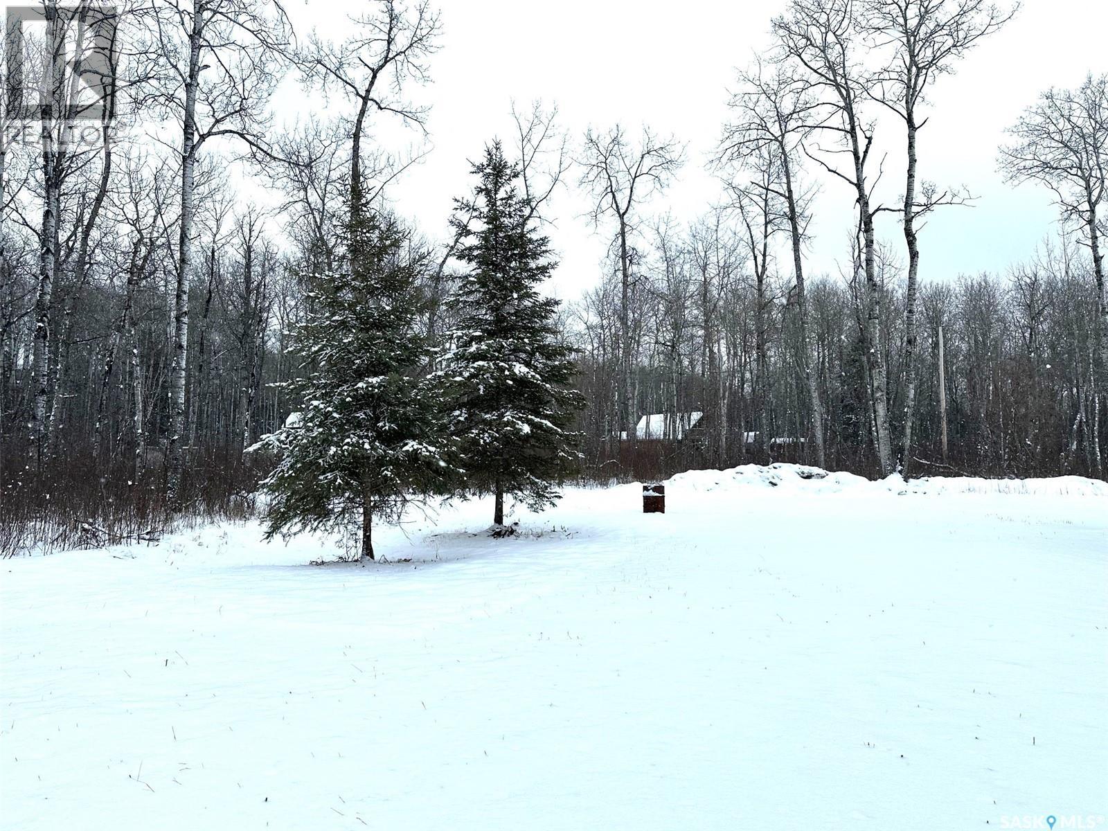 35 Porcupine Drive, Hudson Bay Rm No. 394, Saskatchewan  S0E 0Y0 - Photo 15 - SK030010