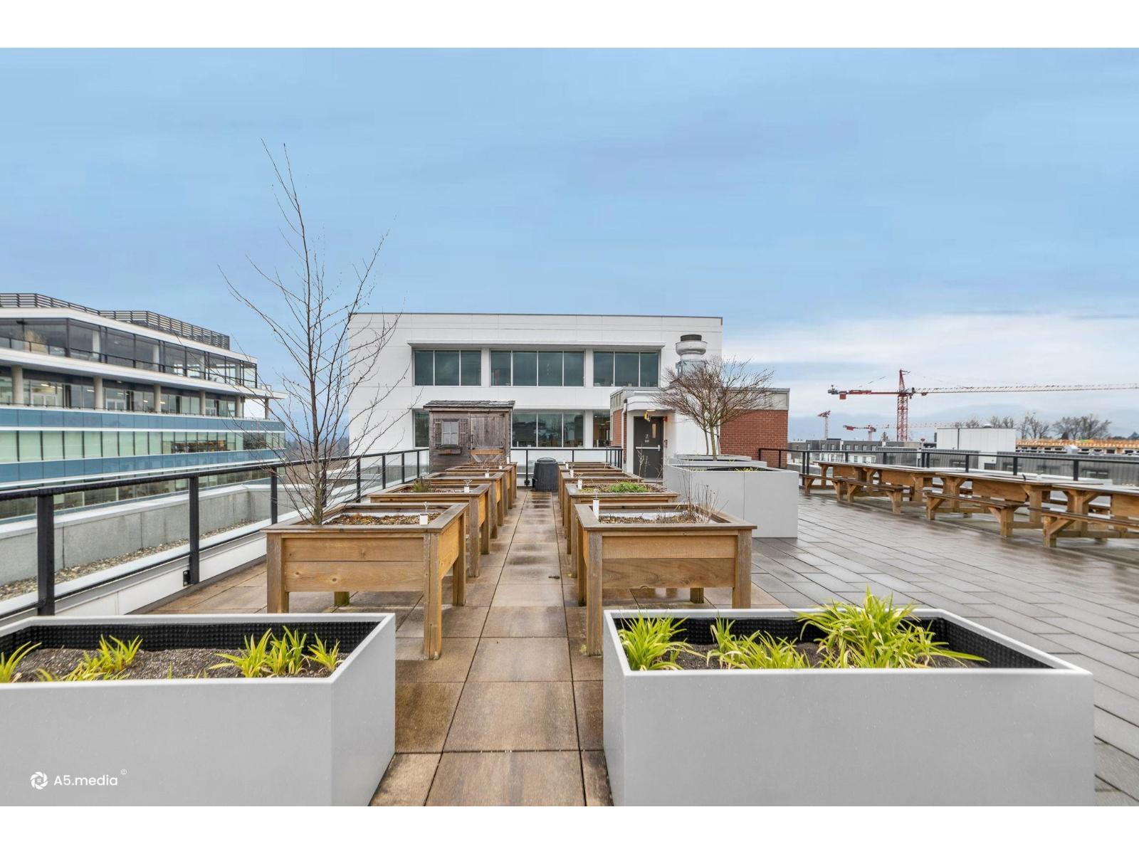 202 8353 200a Street, Langley, British Columbia  V2Y 5K7 - Photo 28 - R3097630