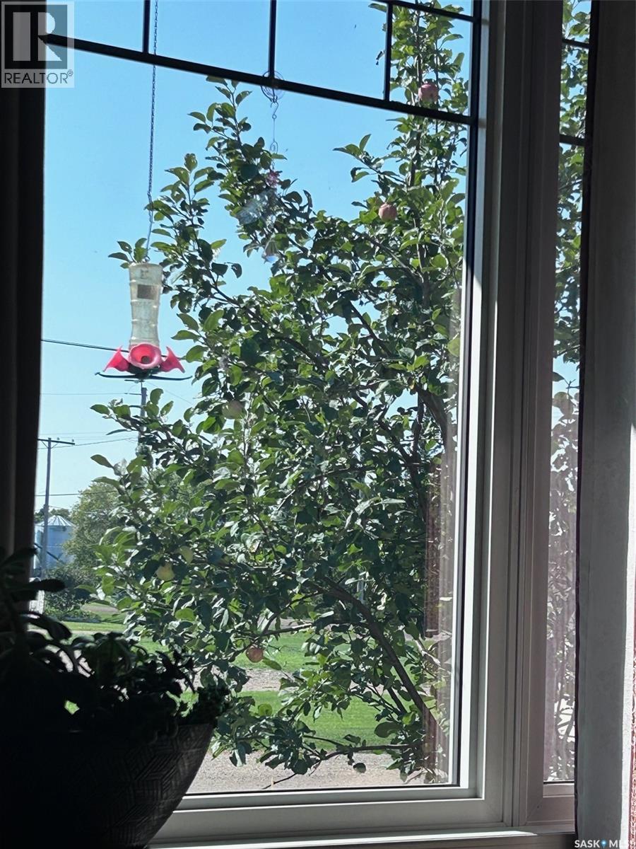 226 1st Street N, Spalding, Saskatchewan  S0K 4C0 - Photo 7 - SK030053