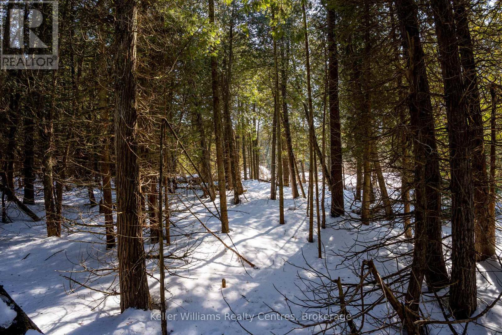 Pt Lt 24 Spry Shore Road, Northern Bruce Peninsula, Ontario  N0H 1W0 - Photo 19 - X12863638